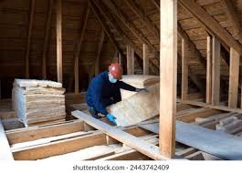 Best Eco-Friendly Insulation Solutions  in Lake City, MN